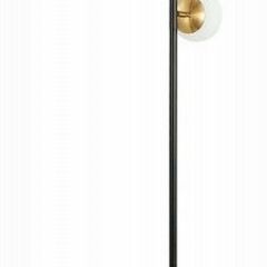 Торшер EVOLUCE Forli SLE220405-03 | фото 2