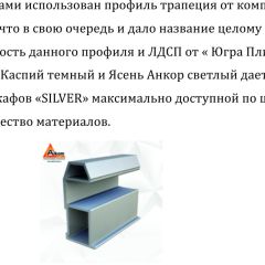 Шкаф-купе 1300 серии SILVER S5+S5+B2+PL3 (2 ящика+2 штанги) профиль «Серебро» | фото 4