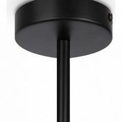 Люстра на штанге Maytoni Memory MOD177PL-04B | фото 4